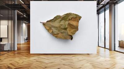 Dry leaves or dead leaves isolated on white background, clipping path material Wall mural