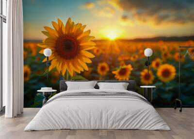 Radiant beauty: sunflower field under a blue sky Wall mural