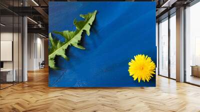 Green carved leaf and yellow flower of dandelion on trendy blue background. Wall mural