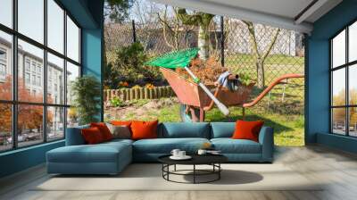 Spring cleaning in the garden. Wall mural