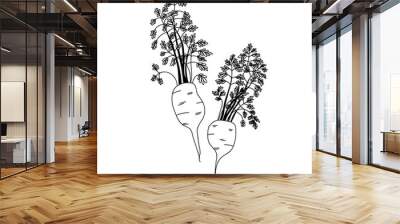 Illustrated sketch of two carrots with leafy greens in line art style on a white background Wall mural