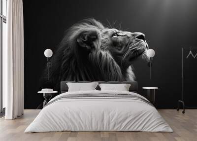 Majestic lion portrait in black and white Wall mural