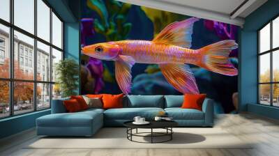 Vibrant comet goldfish swimming in aquarium with colorful coral reef backdrop Wall mural