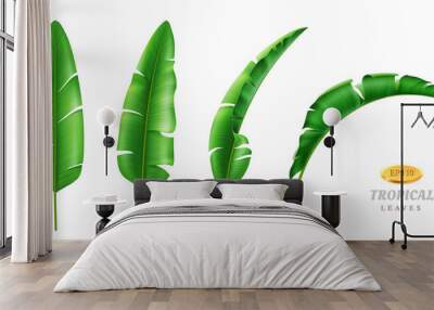 Greenery and botany, exotic and tropical foliage and leafage. Vector isolated set of leaves in different positions, cartoon green vegetation of rainforest beach. Hawaii banana plant, realistic 3d Wall mural