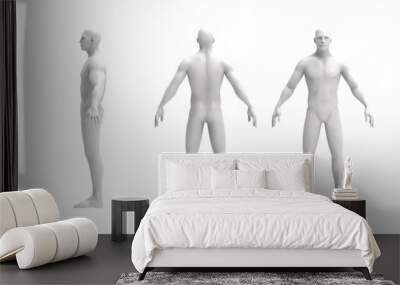 Human body 3d rendering of a human body isolated in white background Wall mural