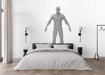 Human body 3d rendering of a human body isolated in white background Wall mural