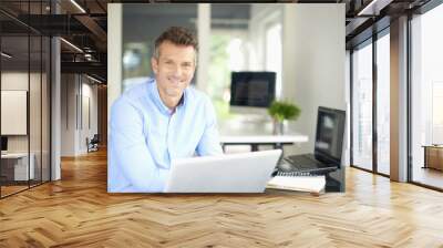 Successful businessman working on laptop at the office Wall mural