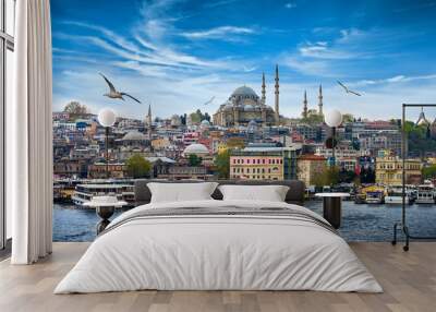 Istanbul the capital of Turkey, eastern tourist city. Wall mural