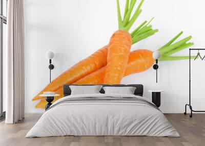 fresh carrots Wall mural