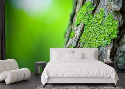 Bark of an oak tree embossed with green moss and lichen. Circular panorama of an oak tree's bark. Wall mural