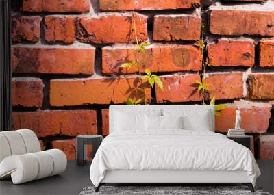 background with old red brick wall  Wall mural