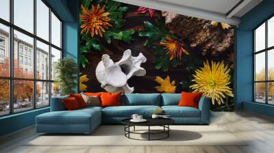 Autumn Collection 2 Wall mural