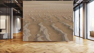 Sand Drift Wall mural