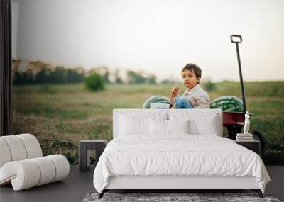 boy eating watermelon. happy child in field at sunset. Ripe watermelons on field in red wagon, harvesting. Wall mural