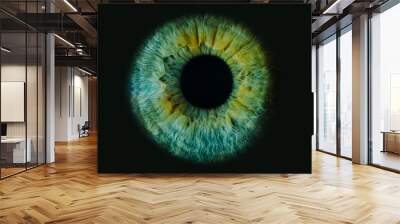 Macro photo of human eye on black background. close-up of green eye Wall mural