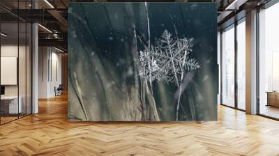 natural snowflakes on snow, photo real snowflakes. Winter snow background. Snowflake Closeup. Macro photo. Copy space. Wall mural