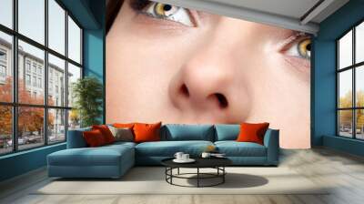 Closeup shot of human female face. Woman with natural face and eyes beauty makeup. Wall mural