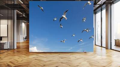 Seagulls in flight, near the port of Kerch. Wall mural