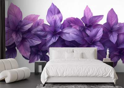 Purple basil, leaves of violet basil close-up transparent background Wall mural