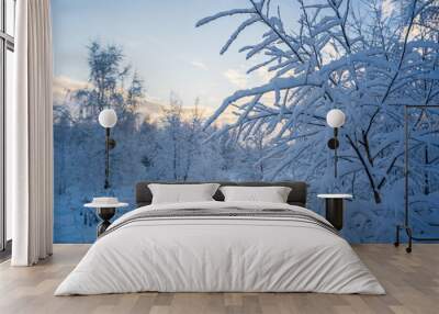 snowed winter forest russia birches and trees Wall mural