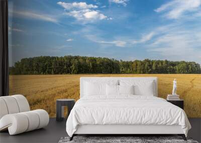 A field of golden wheat with a clear blue sky in the background Wall mural