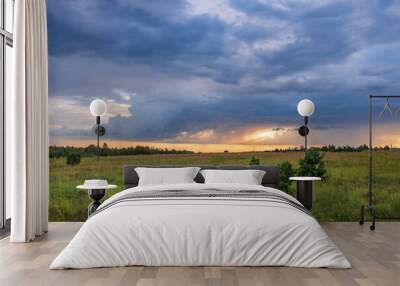 A field of grass with a cloudy sky in the background Wall mural