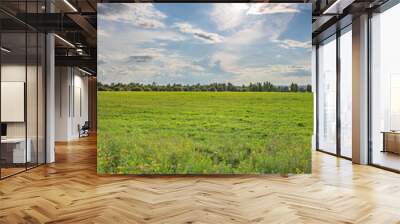 A field of grass with a few trees in the background Wall mural