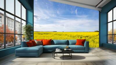 A field of yellow flowers with a blue sky in the background Wall mural