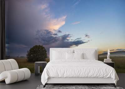 A field with a tree in the foreground and a large cloud in the background Wall mural