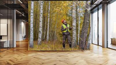 A forest engineer measures the diameter of a birch tree in the forest. Wall mural