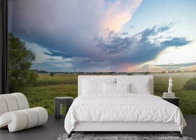 A large cloud is in the sky above a field of grass Wall mural