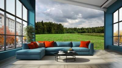 A large field of grass with a cloudy sky in the background Wall mural