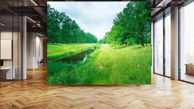 A lush green field with a river running through it Wall mural