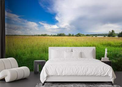 A sprawling meadow glistens in the morning light, surrounded by lush greenery and dynamic cloud formations, capturing the tranquility of rural life. Wall mural