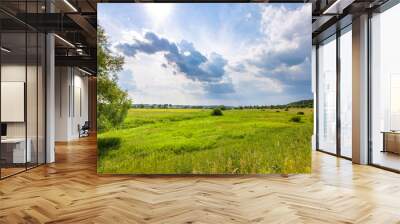 A wide, open field of tall green grass under a blue sky with white clouds. The sun shines brightly, creating a sense of peace and tranquility. Wall mural