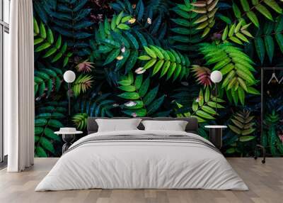 Colorful fern leaves on black background Wall mural