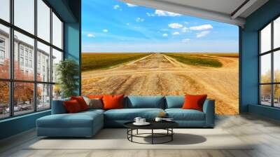 country road in the field kazakhstan Wall mural