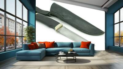 knife with scabbard on a white background Wall mural