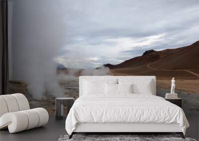 Geothermal fields Iceland Europe. Geysers and fumaroles emit white cloud of steam Wall mural