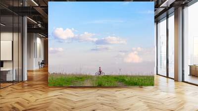 Girl on a bicycle on a background of blue sky and green grass Wall mural