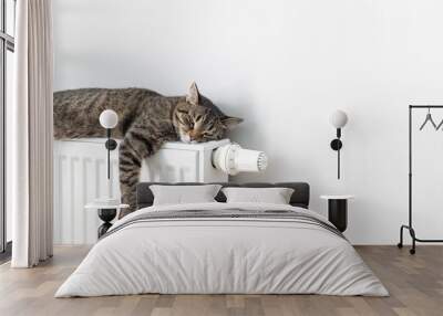 The cat lies on a heating radiator against the background of a gray wall. The cat warms up on the battery
 Wall mural