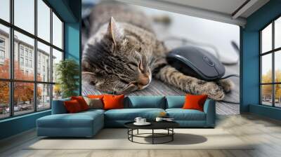 The gray tabby cat lies asleep on the table. Holds a computer mouse in his paw Wall mural