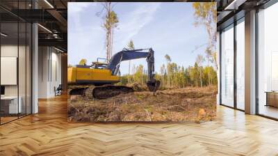 The excavator works in the forest. Construction work in the forest area. Wall mural