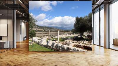 ruins of ancient temple with columns in ruined lycian town Andriake, Turkey Wall mural