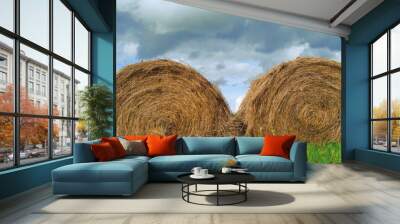 Two rolls of hay are lying on the field. Close-up photo. The concept of harvesting forage in agriculture. Wall mural