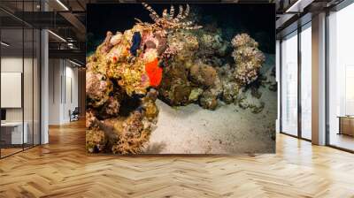 Coral garden Wall mural