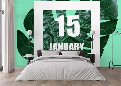 january 15th. Day 15 of month,Date text in white frame against tropical monstera leaf on green background winter month, day of the year concept Wall mural