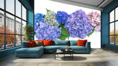 Arrangement of colorful flowers Hydrangea (hortensia) on a white background Wall mural