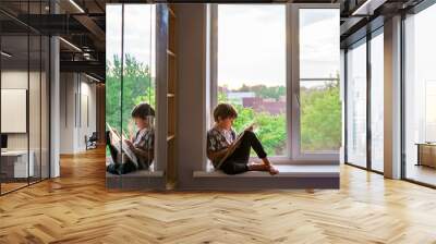 The boy reads a book while sitting on the windowsill. His reflection is visible on the mirror of the cabinet Wall mural