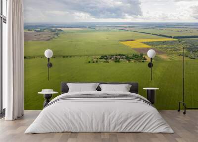 Aerial drone view. Ukrainian green corn field on a summer day. Wall mural